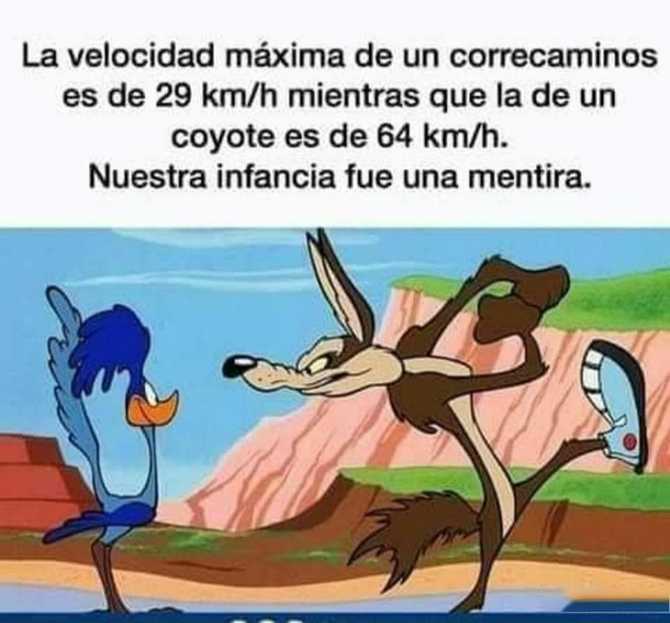 Dibujo animado del Correcaminos, pájaro azul, frente al Coyote, que levanta una pierna con una zapatilla.