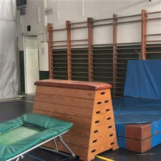 Gimnasio escolar con espalderas, plinto y colchonetas