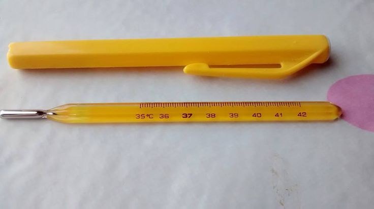 Termómetro de mercurio con su funda amarilla.