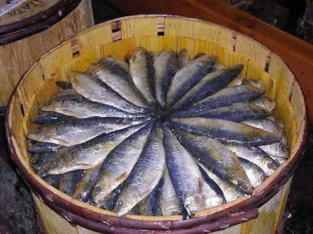 Sardinas colocadas en círculo en una canasta de madera