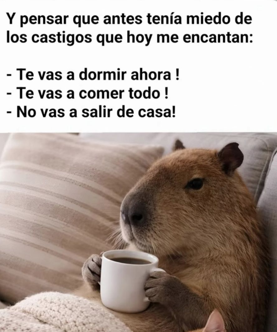 Capibara recostado en un sofá sujetando una taza de café, con una manta.