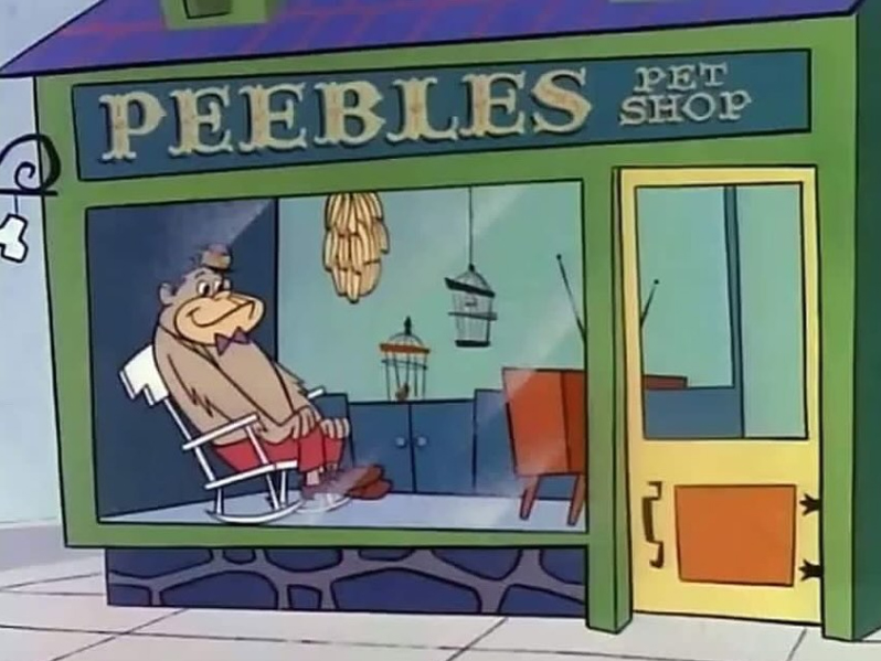 El gorila Maguila sentado en el escaparate de la tienda de mascotas Peebles