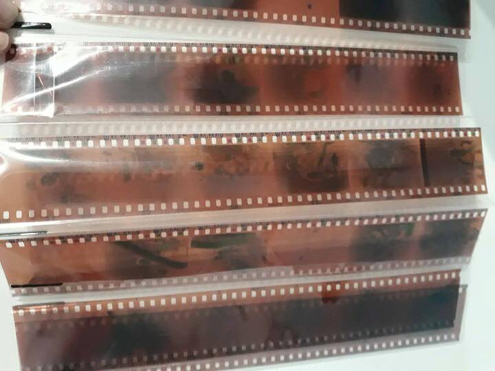 Tiras de negativos fotográficos.