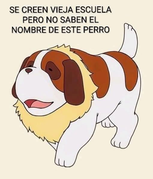 Dibujo de un perro san bernardo blanco y marrón con cara simpática.