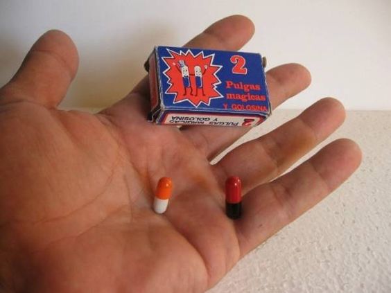 Caja de pulgas mágicas en la mano.
