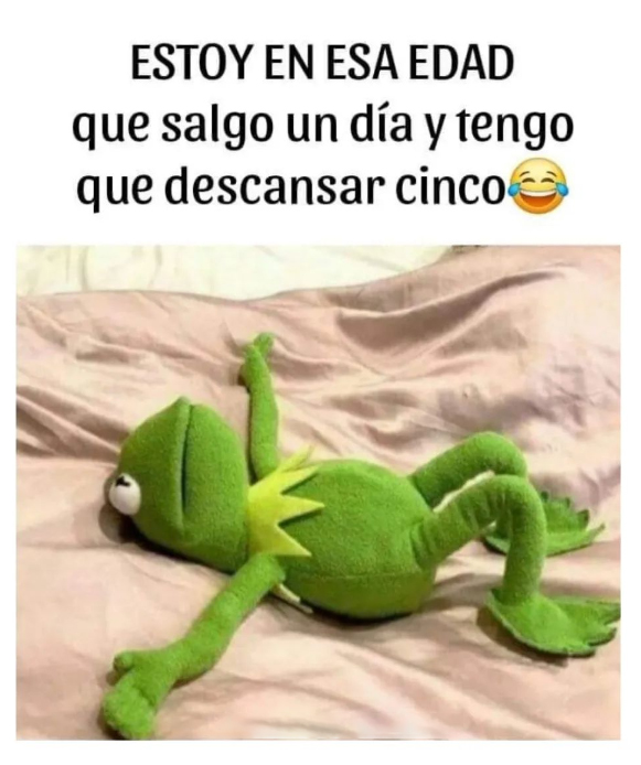La rana Gustavo tumbada boca arriba sobre una cama con sábanas rosas.