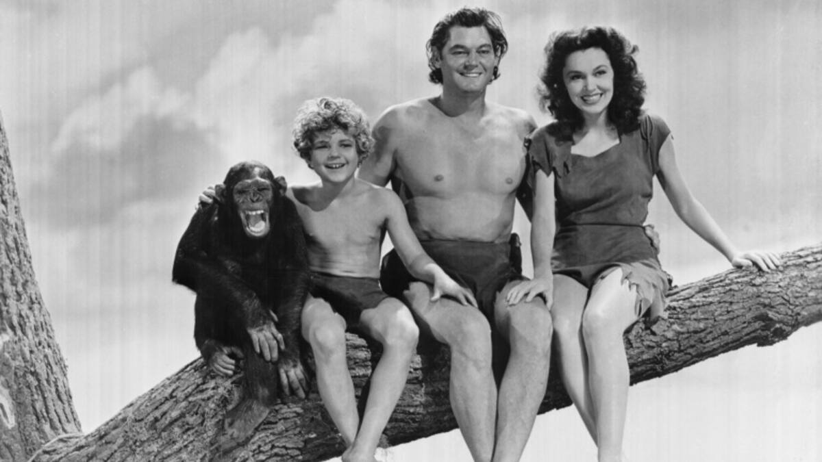 Tarzán, Jane, un niño y la mona Chita subidos a la rama de un árbol